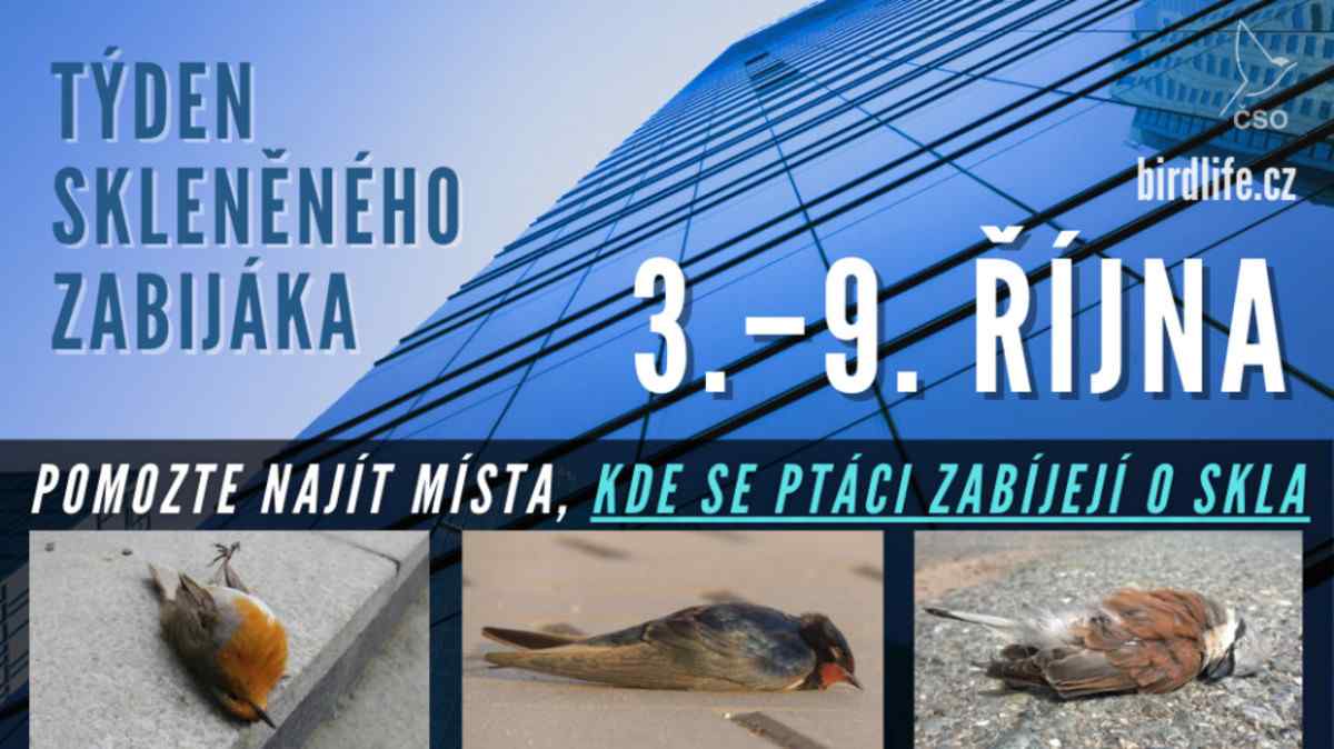Týden skleněného zabijáka