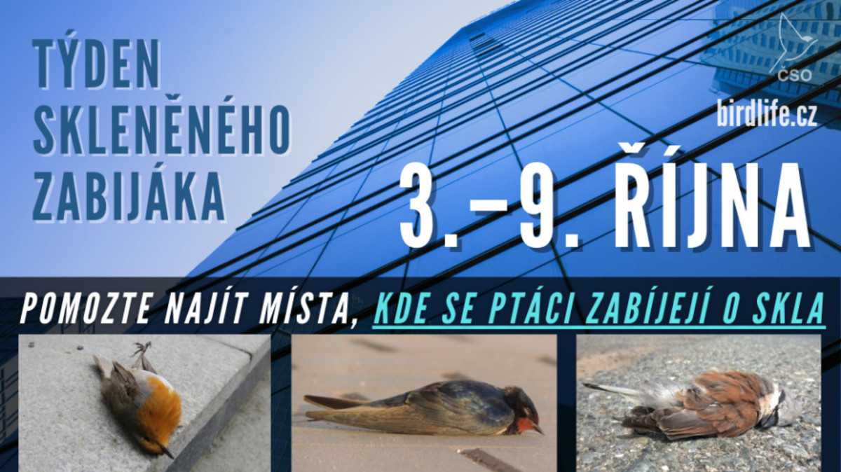 Týden skleněného zabijáka