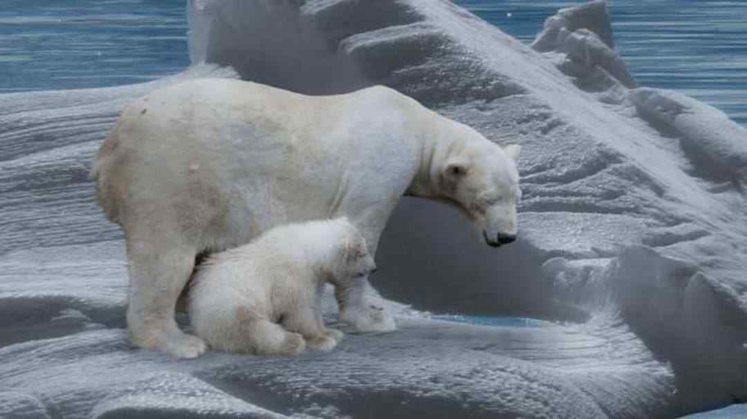 Mezinárodní den ledních medvědů