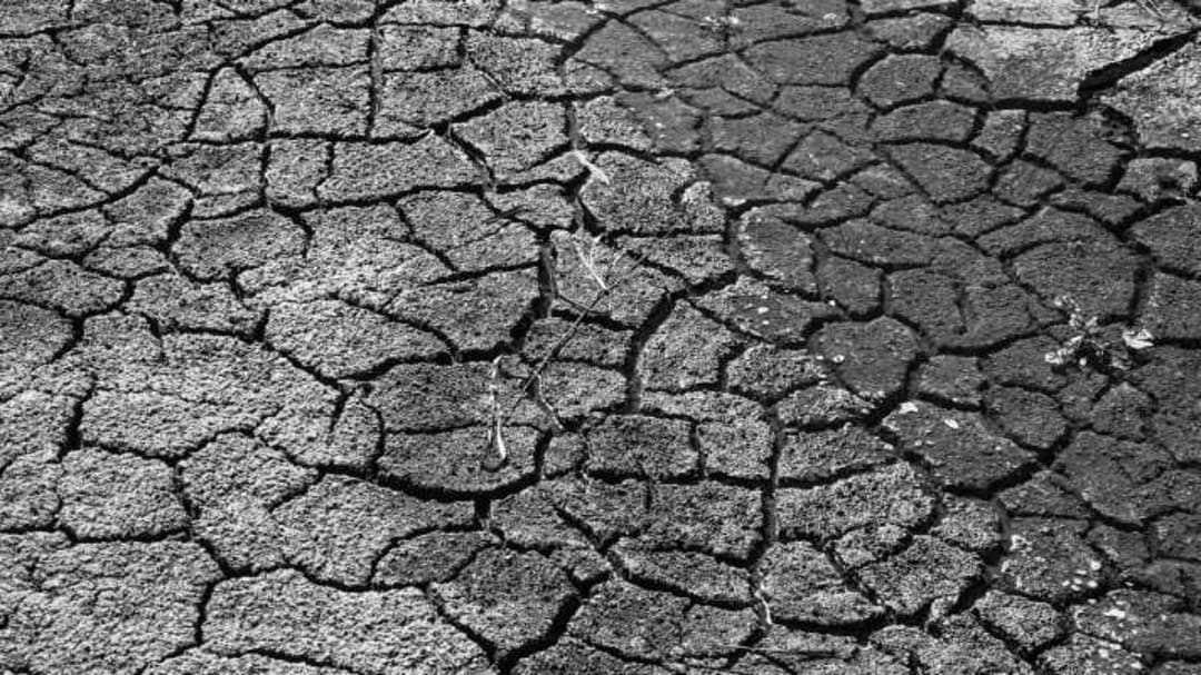 Medzinárodný deň proti rozširovaniu púští a sucha