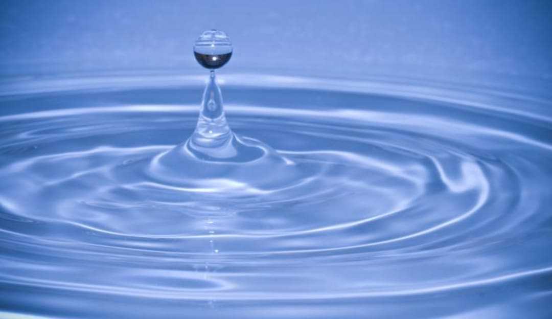 Svetový deň vody