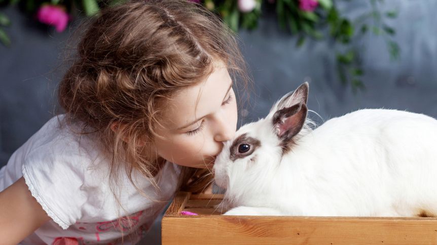 Mezinárodní den králíků