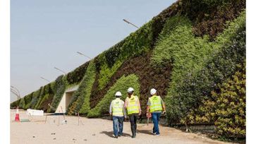 Medzinárodný deň zelených múrov