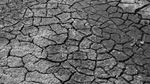 Mezinárodní den proti rozšiřování pouští a sucha